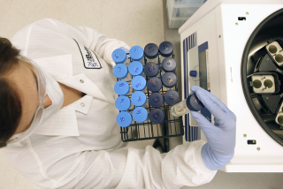 Illustration for article titled La prueba de ADN revela que su padre biológico no es su padre, sino el médico de fertilidad de sus padres